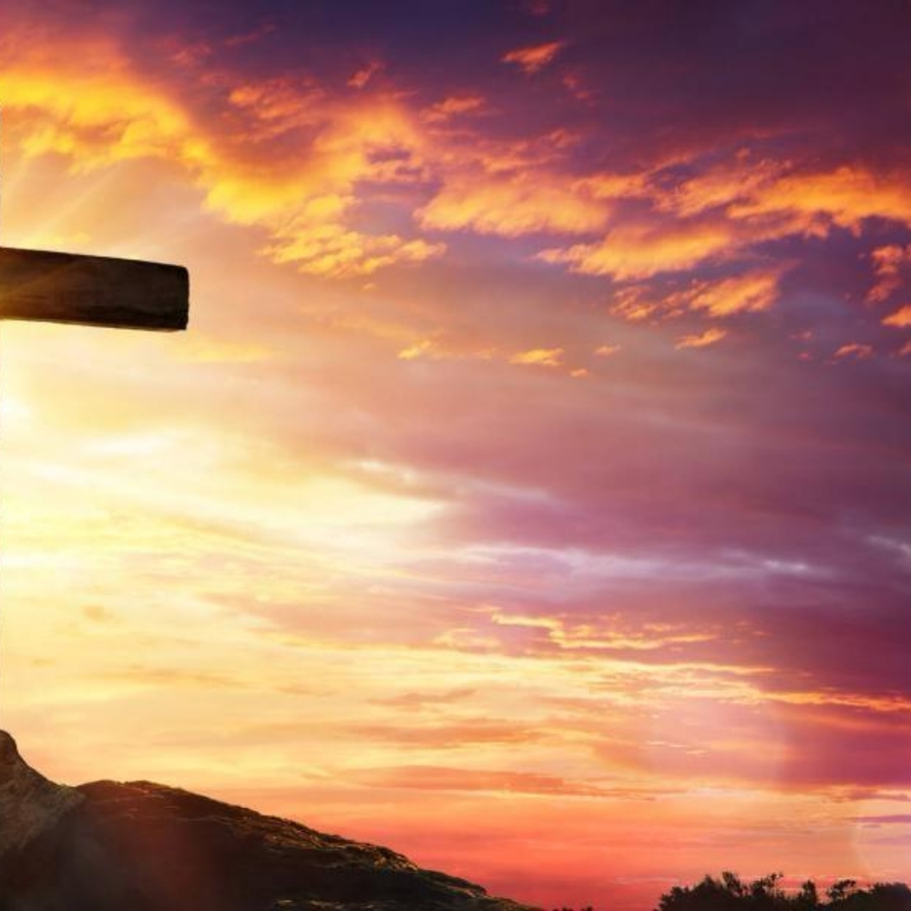 Meet your Posher, Lina